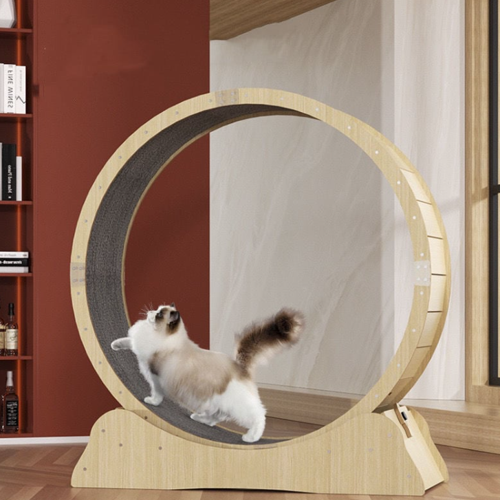 RUOTA DA CORSA