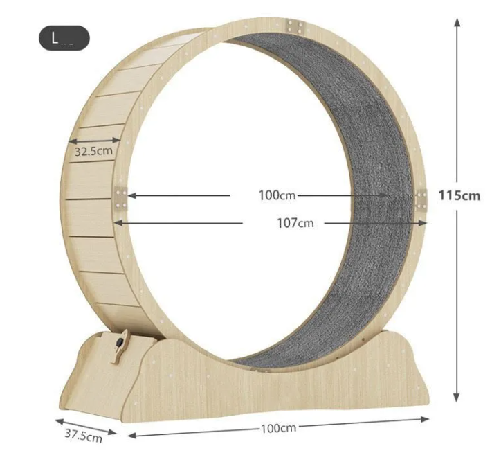 RUOTA DA CORSA