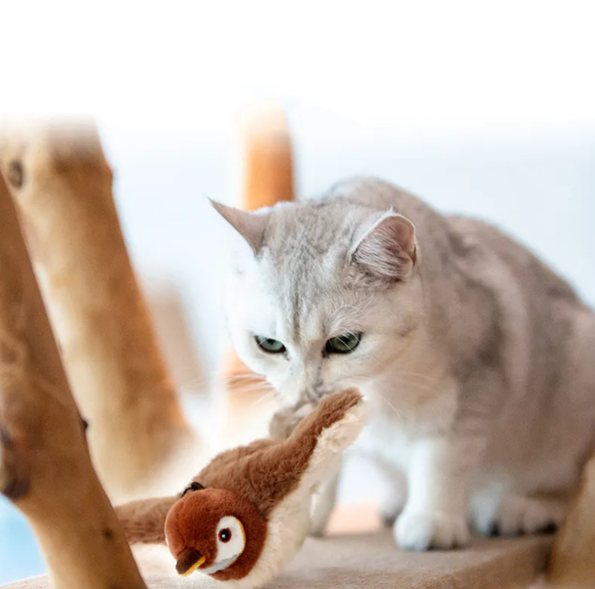 Giocattolo elettrico per gatti a forma di pesce con luci e suoni